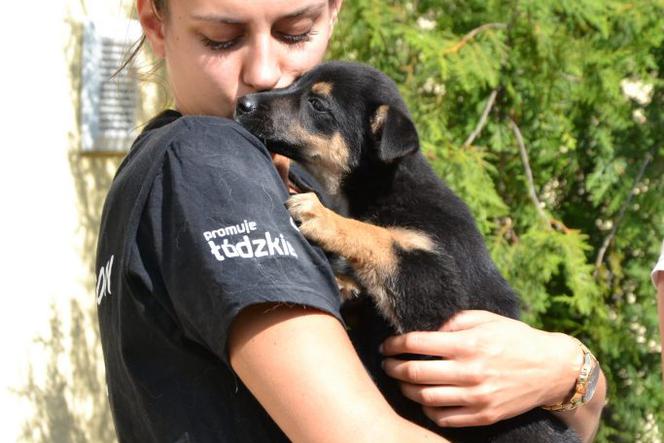 Siatkarki z Łodzi promują adopcje zwierząt!