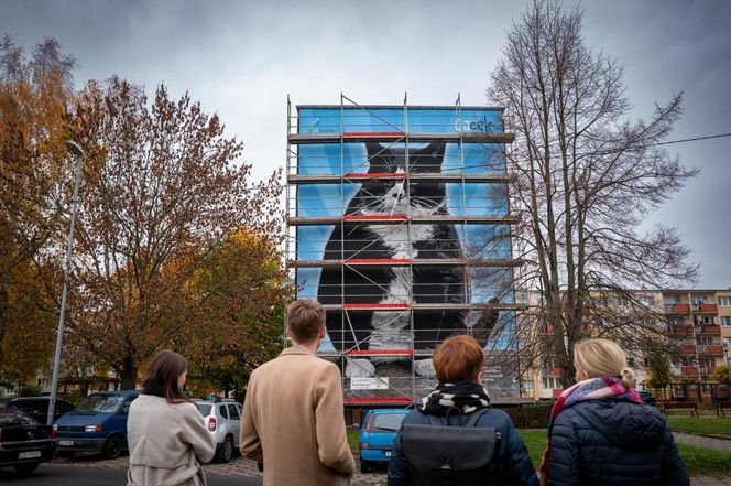 Na ul. Rugiańskiej powstaje mural z kotem Gackiem