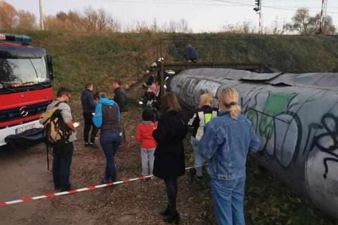  RZESZÓW: Nie ustają w wysiłkach. Trwa akcja ratownicza kota