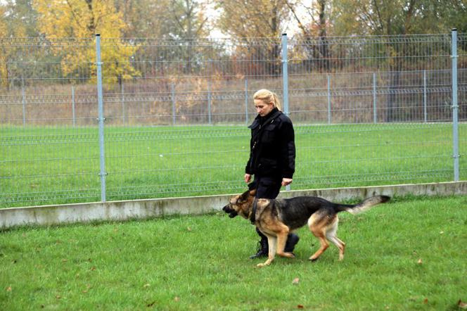 Te piękne kobiety służą w Policji