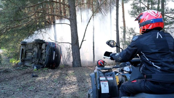 M jak miłość, odc. 1875. Dominik Walat (Bartosz Surówka)