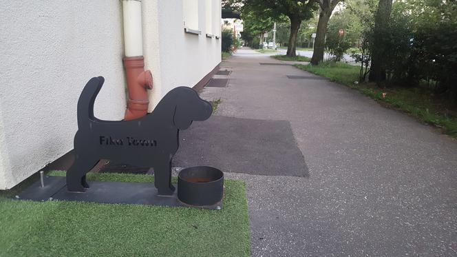 W tych miejscach w Bydgoszczy sprzedawcy kochają zwierzęta