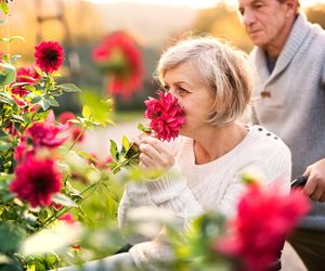 W domu, bez stresu i skomplikowanych badań. Nowy sposób na rozpoznanie alzheimera?