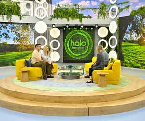 Edward Miszczak wparował do studia Halo, tu Polsat!