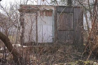 Domek Fiński Ryszarda Kapuścińskiego to ruina - zobacz zdjęcia