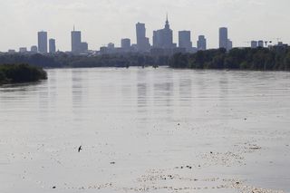 Widok na wieżowce z Mostu Siekierkowskiego w 2014 roku