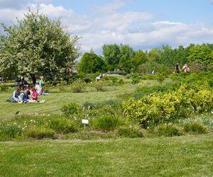 Ogród Botaniczny w Kielcach
