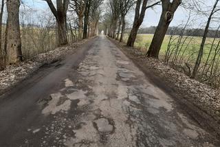 Czy droga do Lubiechowa, czyli najbardziej dziurawa trasa w gminie Karlino, ma szanse na remont?