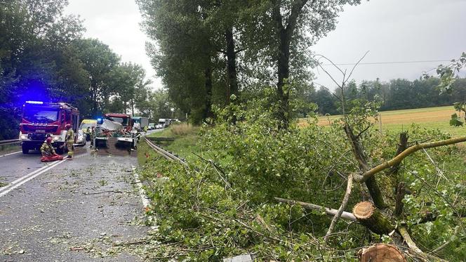 Drzewo spadło na busa służby drogowej. 56-latek nie żyje, cztery osoby ranne