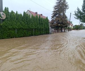 Zagrożenie powodziowe. Głuchołazy. Woda przelała się przez wały. Zalewa miasto