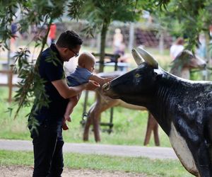 Miłosz Motyka. Energia rozpiera ministra