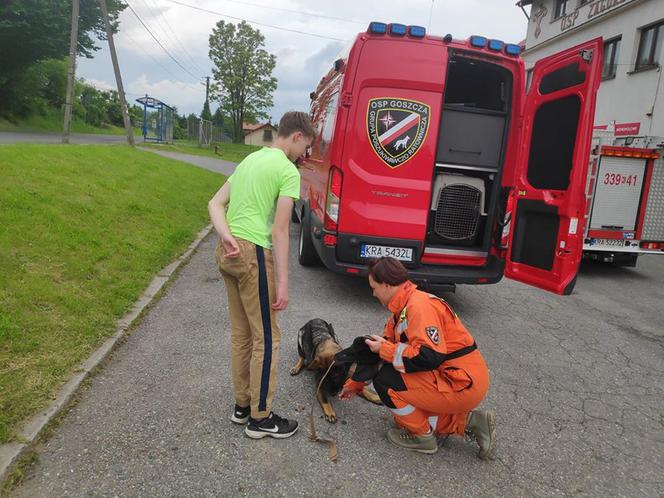 Strażacy i ratownicy odnaleźli zaginionego 13–latka z autyzmem