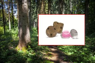 Pojawią się w małopolskich lasach i będą zrzucane z samolotów. Ostrzeżenie dla właścicieli psów