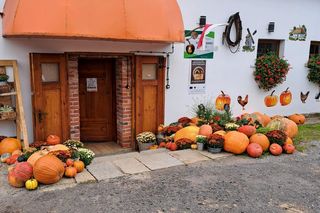 Dyniowy Zakątek,  Olszany 171