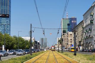 Tramwajarze zazielenią tory w centrum Warszawy. Gdzie pojawi się rozchodnik? 