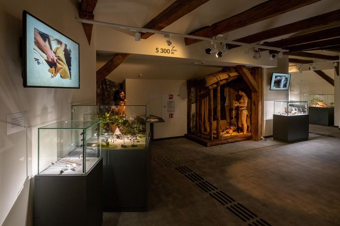 Muzeum Archeologiczne w Krakowie