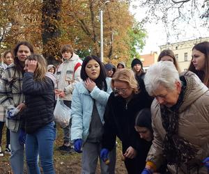 Nie tylko żonkile. Tysiące cebulek kwiatowych posadzono dziś na Polu Nadziei w Lesznie