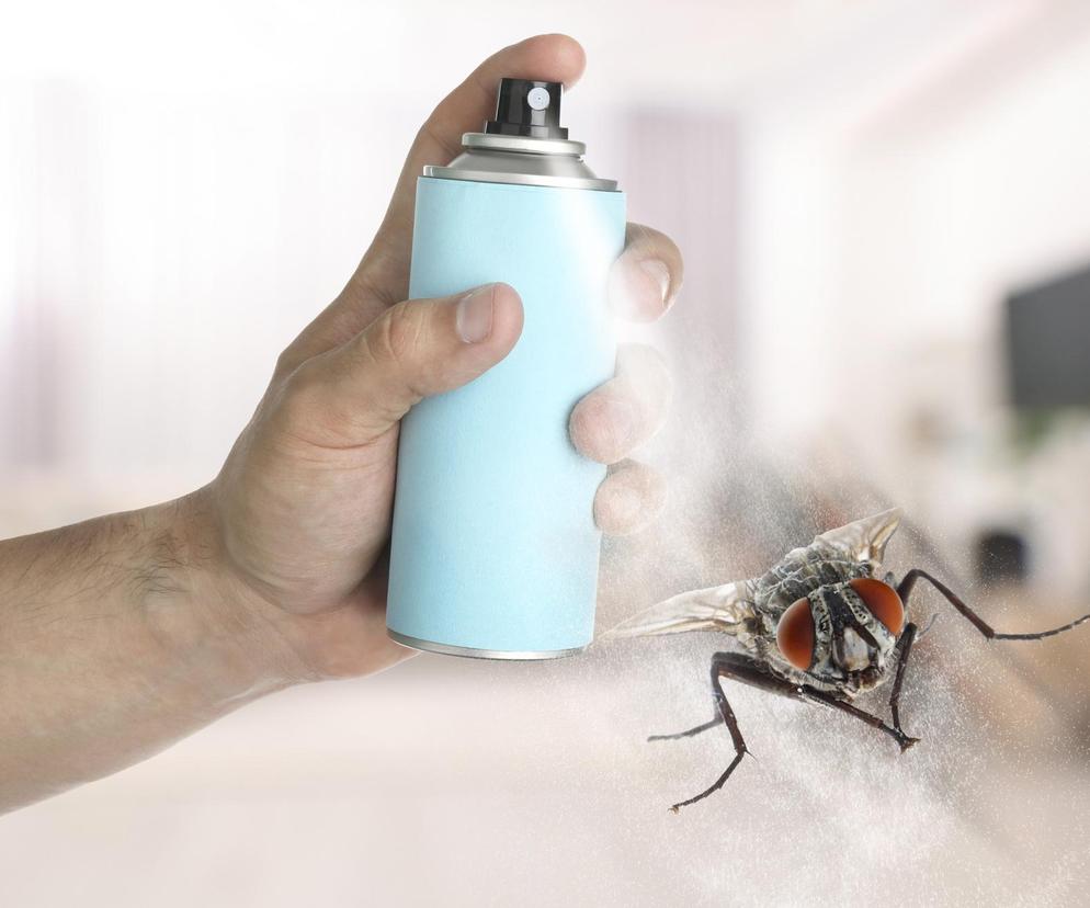domowy spray na muchy 