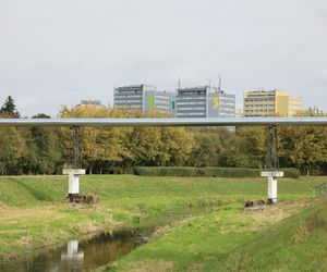 Jesienna odsłona terenów nad Bystrzycą w Lublinie. Tak się prezentuje w październiku. Zdjęcia