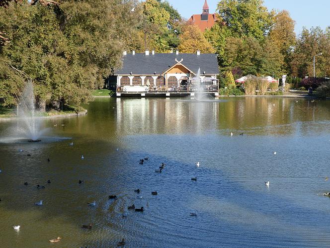 3. Legnica