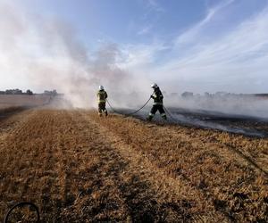 Dwa pożary zboża oraz rżyska w powiecie braniewskim