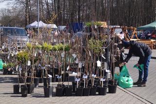 Wiosenny Kiermasz Ogrodniczy w Bydgoszczy [ZDJĘCIA]