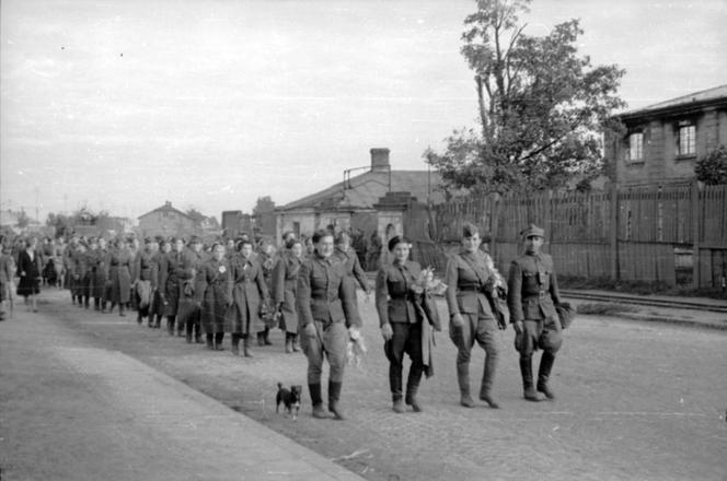 80. rocznica wyzwolenia Warszawy 17 stycznia 1945r. Czarna rozpacz i Czerwona Armia