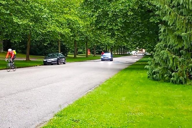 Ohlsdorfer Friedhof w Hamburgu