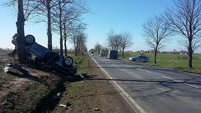 Kierowca BMW uderzył w drzewo w gminie Lubicz