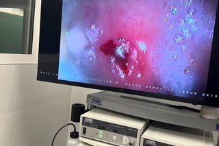  Kot który zjadł balon.