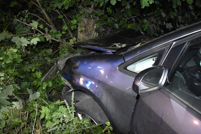 Pijany kierowca rozbił auto pod Gryżyną. Miał prawie 3 promile alkoholu