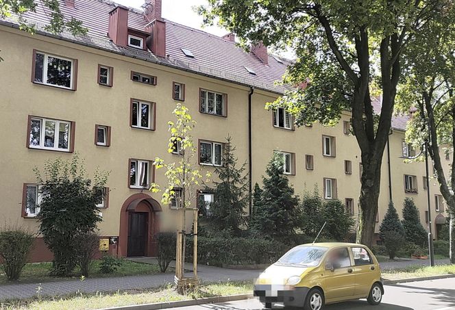 Matka z kochaną urządziły Ignasiowi piekło