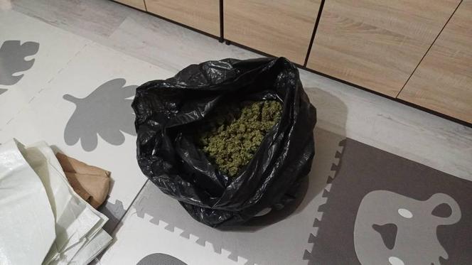 Pomorskie: Zatrzymanie gangu narkotykowego