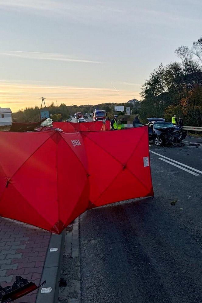  Mucharz. Śmiertelny wypadek na drodze krajowej nr 28. Trzy osoby nie żyją [ZDJĘCIA]