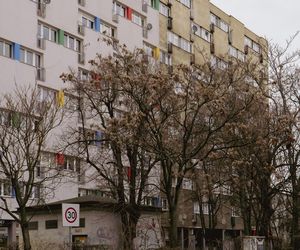 Grabiszyńska 133 we Wrocławiu. Fot. Julia Dragović