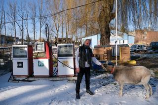 Nie dałem zjeść kozła