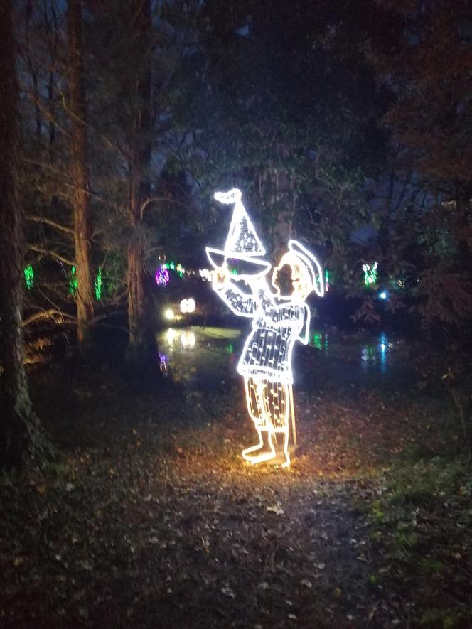 Park Iluminacji w Poznaniu