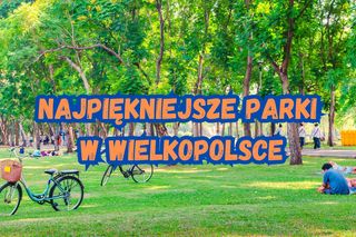 Najpiękniejsze wielkopolskie parki [ZDJĘCIA]