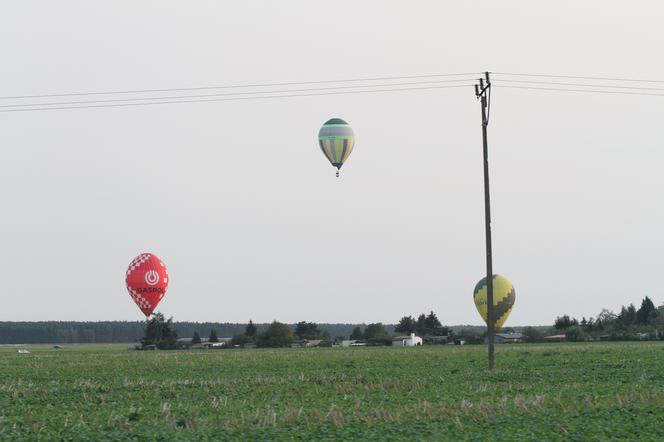 balony