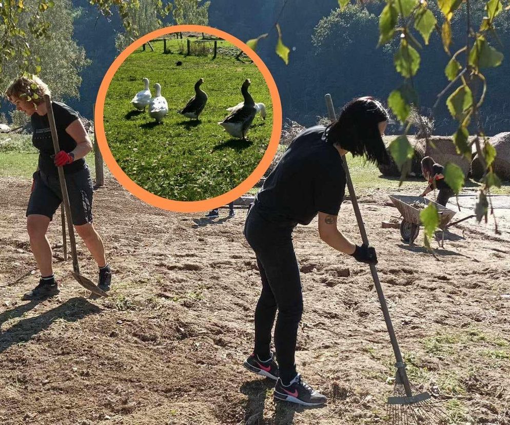 Ciche ofiary wielkiej wody. Ekostraż z Wrocławia ratuje zwierzęta z powodzi