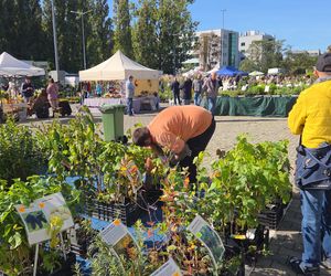 Jesienny Kiermasz Ogrodniczy w Bydgoszczy przyciągnął miłośników zieleni i smakołyków!