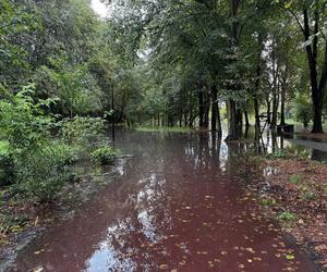 Sytuacja powodziowa w Chałupkach. Jest stabilnie, woda nie przerwała wałów