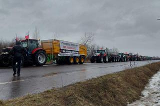 Rolnicy protestowali w Zamościu. Było kilkaset osób