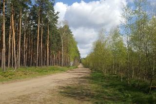 Pod Bydgoszczą spadł obiekt wojskowy. Na miejscu wojsko i policja