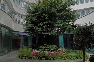 Hotel polskiej kadry przed meczem