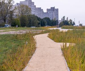 Budowa parku nad Południową Obwodnicą Warszawy