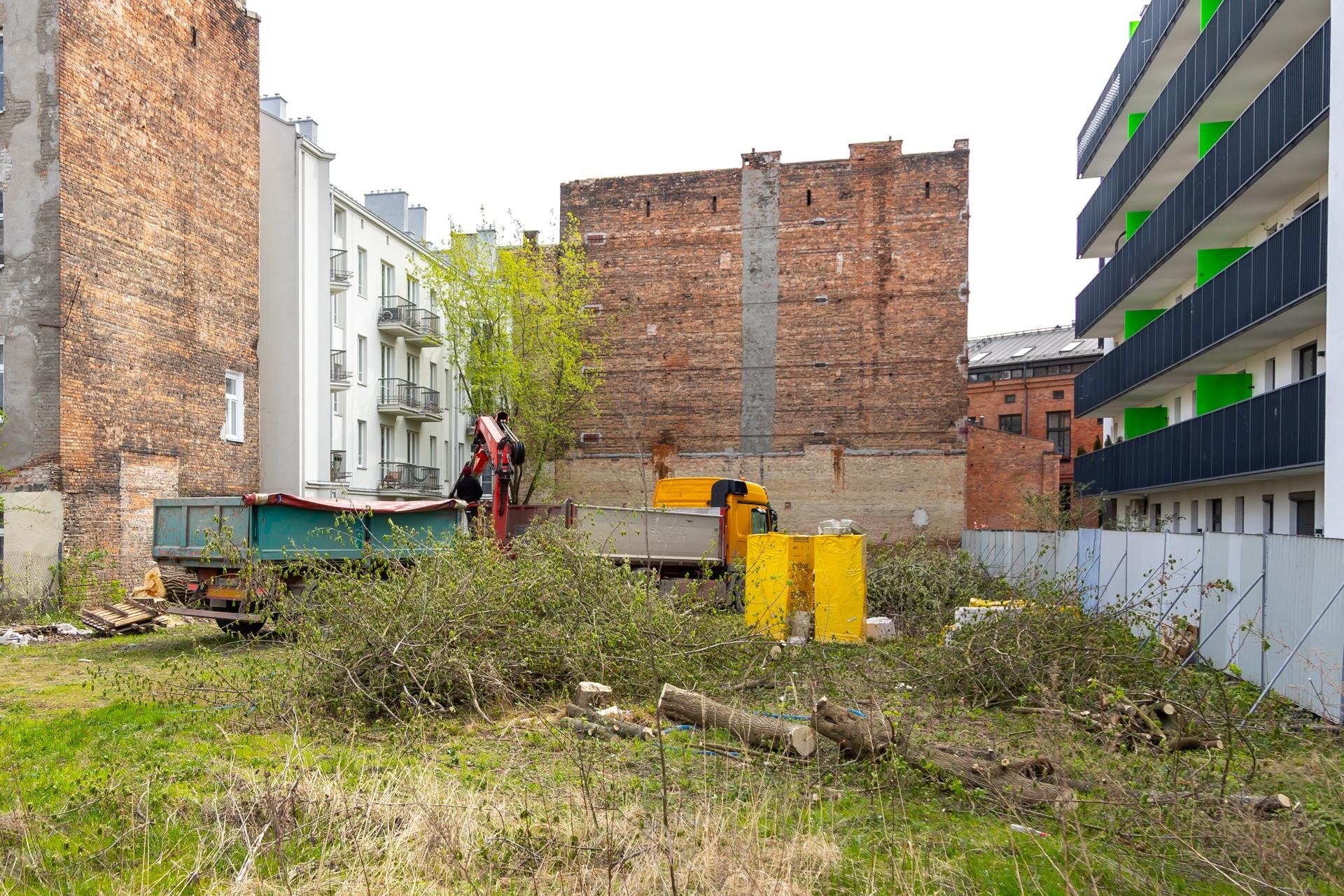 Nielegalna wycinka drzew przy ul. Radzymińskiej 14 w Warszawie