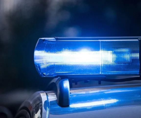 Cyngiel stambulskiej mafii zatrzymany w Warszawie! Miał przy sobie naładowany pistolet