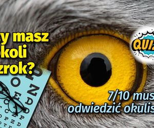 Sprawdź swój wzrok i spostrzegawczość! Przy wyniku poniżej 7/10 powinieneś odwiedzić okulistę
