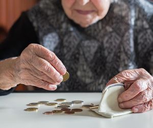 800 plus dla seniorów? Dzieci wychowali bez świadczeń